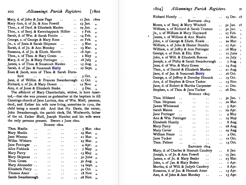 Sarah and Jane Burry baptisms in Allcannings Parish Registers - 1905 transcript.