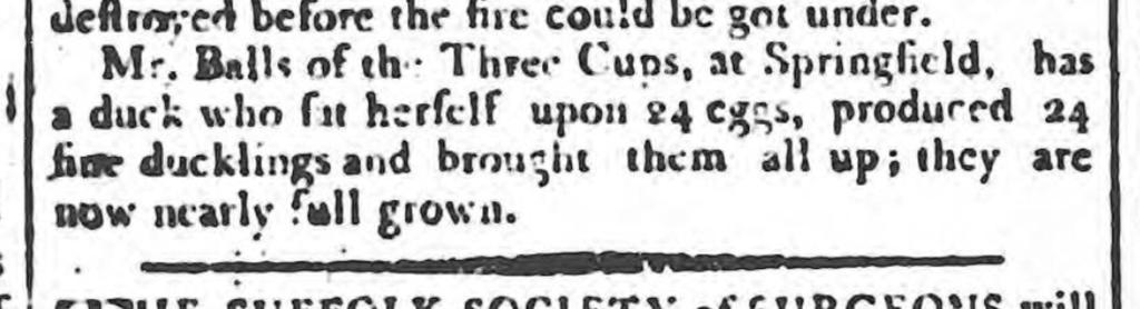 24 fine ducklings, Richard Balls claim to fame. Ipswich Journal, Saturday 20th July 1793.